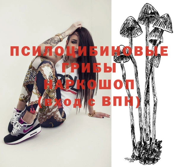 а пвп мука Богородицк