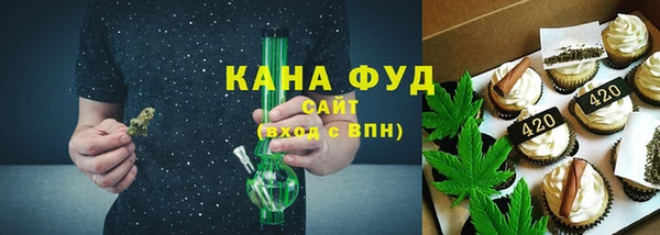 МДПВ Богородск